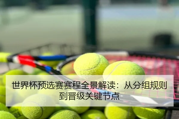 世界杯预选赛赛程全景解读：从分组规则到晋级关键节点